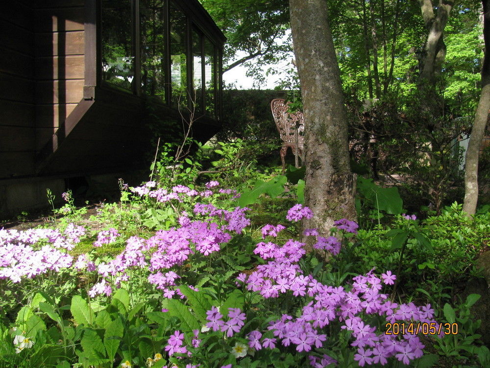 La Forest De Nome Karuizawa Villa Екстериор снимка