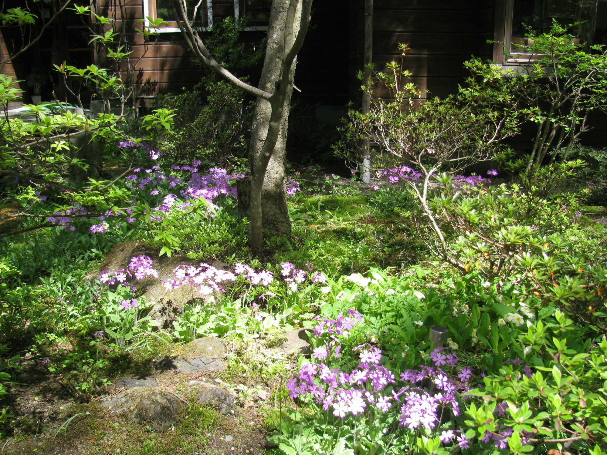 La Forest De Nome Karuizawa Villa Екстериор снимка